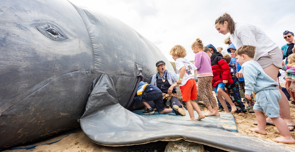 Royal WIlliam Yard Whale